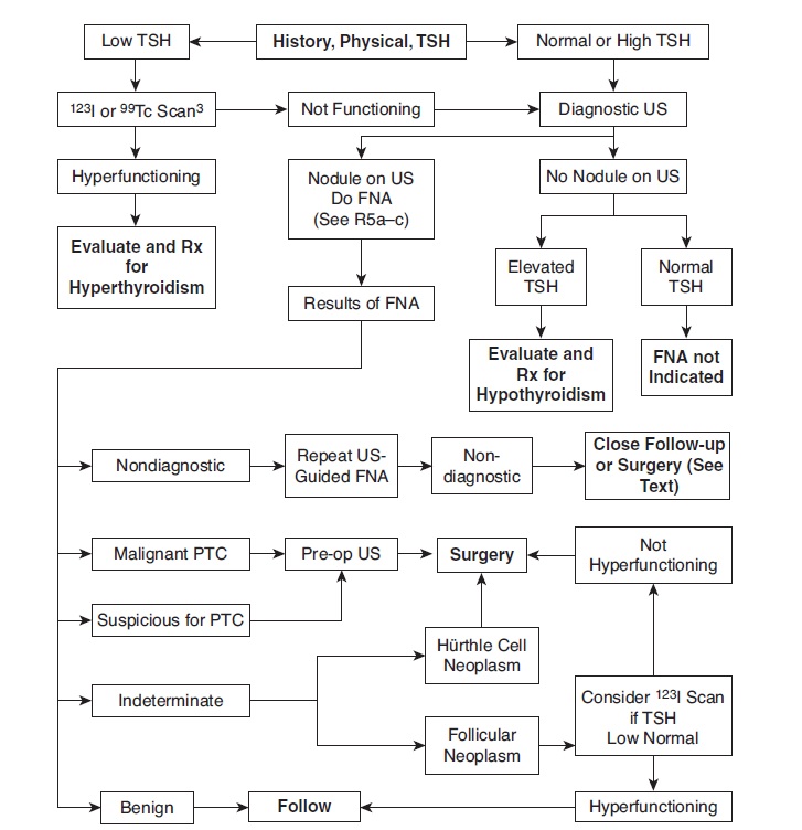 9781451154092_fig16_1_FIG