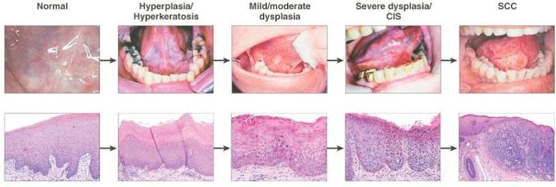 _53022d86_13d85ffda7d__8000_00006167