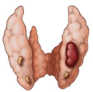 18767357_298526467261639_5144883419579625143_n