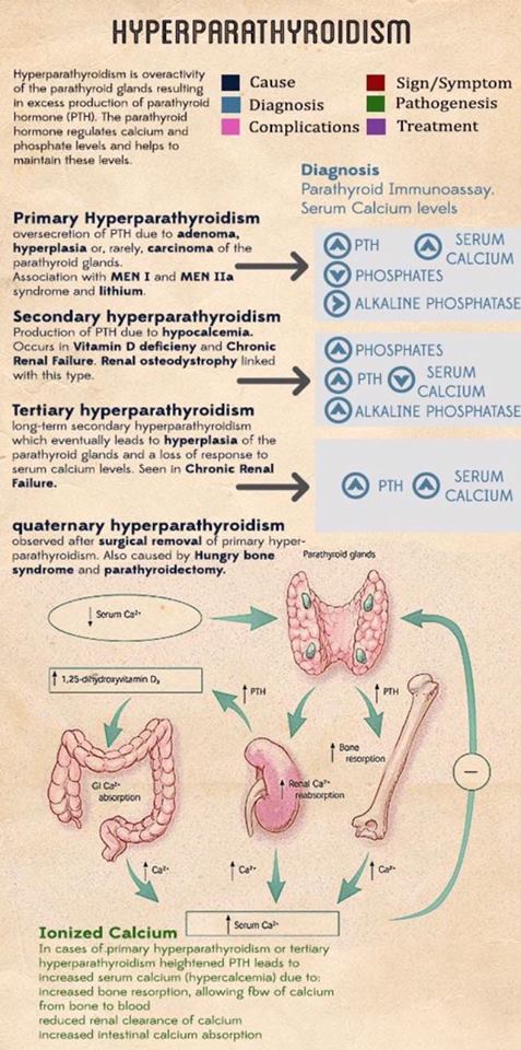 18813493_298526493928303_9123677475566775310_n