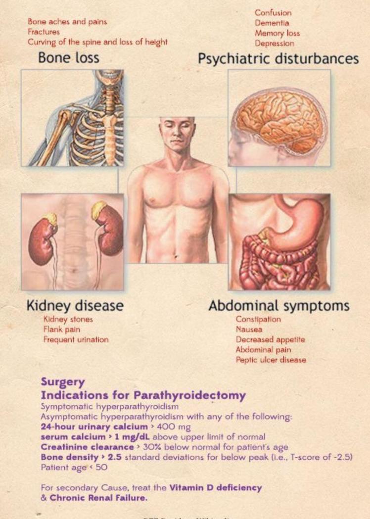 18839633_298526490594970_1808619548355549612_o