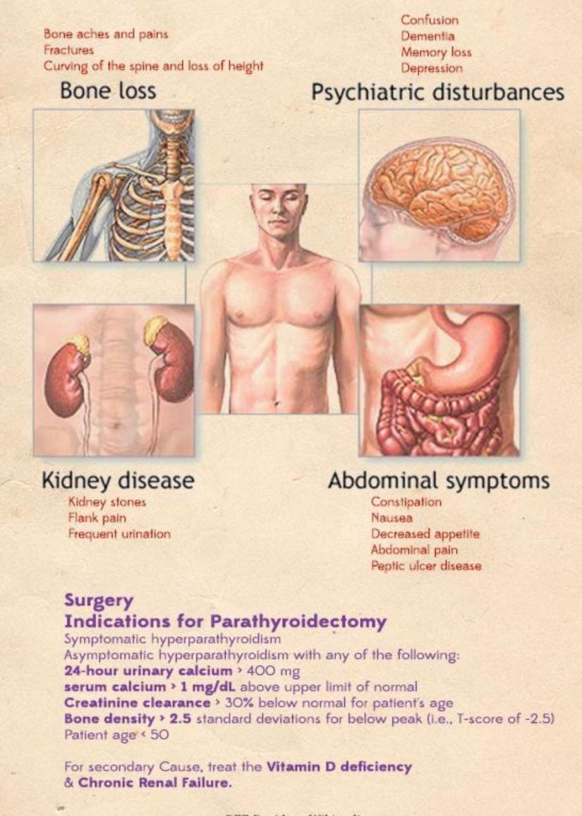 18839633_298526490594970_1808619548355549612_o