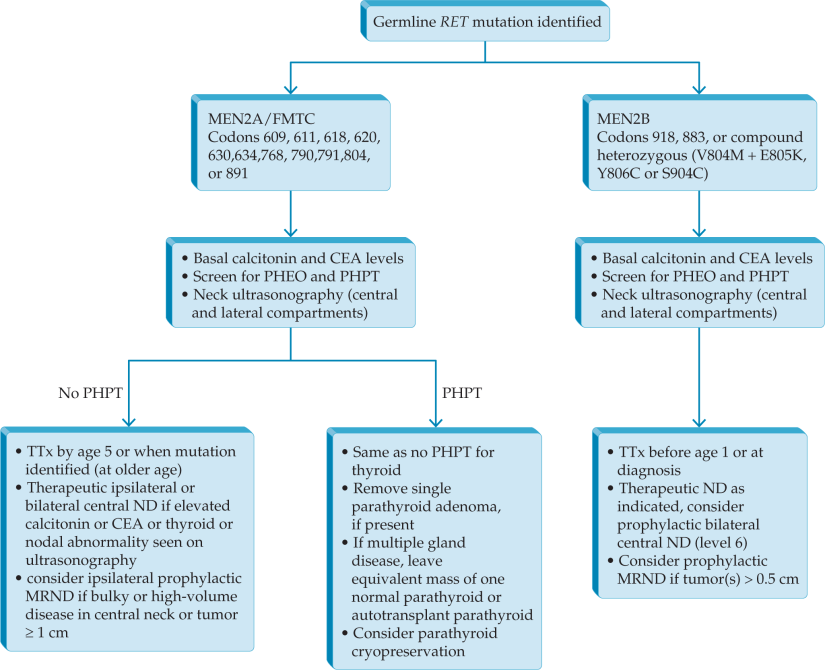 Algorithm for the Management of Patients with Identified RET Mutation in MTC