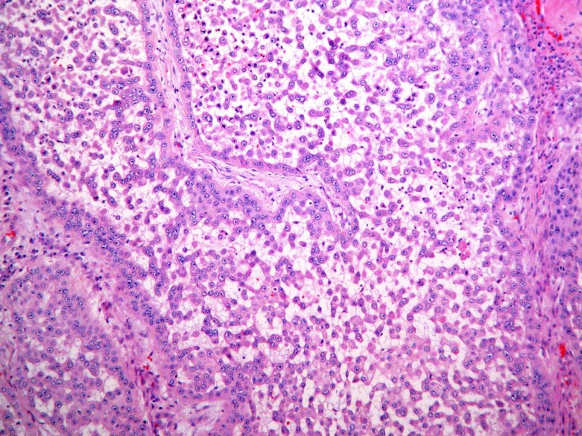 6713853577_41cf97059a_b