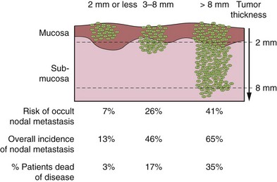 B9780323055895000081_f008-039-9780323055895