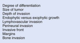 B9780323055895000081_f008-040-9780323055895