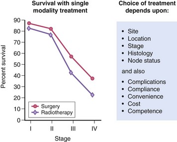 B9780323055895000081_f008-041-9780323055895