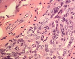 cover_article_857_en_US