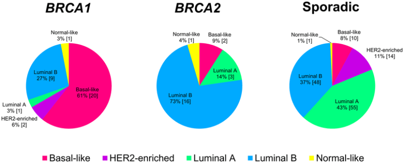 association-between-hereditary-breast-cancers-and-molecular-subtypes-distribution-of