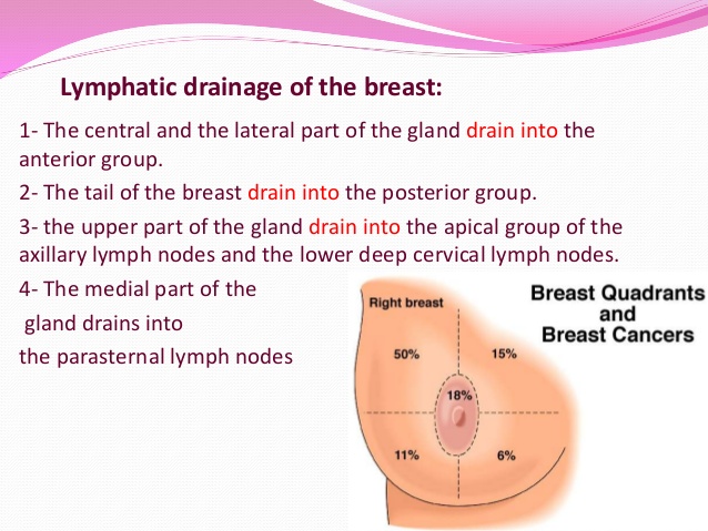 Can you perform a Sentinel Lymph Node Mapping and Biospy (SLNM and SLNB ...