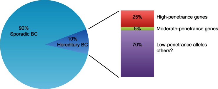 genetic-susceptibility-in-hereditary-breast-cancer-up-to-10-of-all-breast-cancers-are.png
