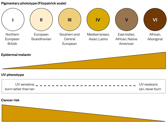 1073136_fitzpatrick-skin-type-classification-system-17