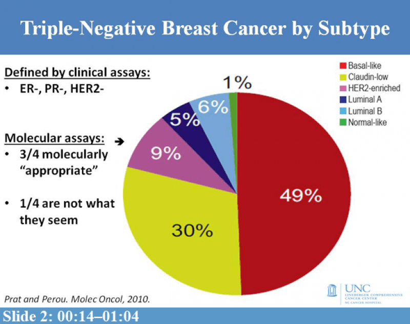 TNBC-slide2_0