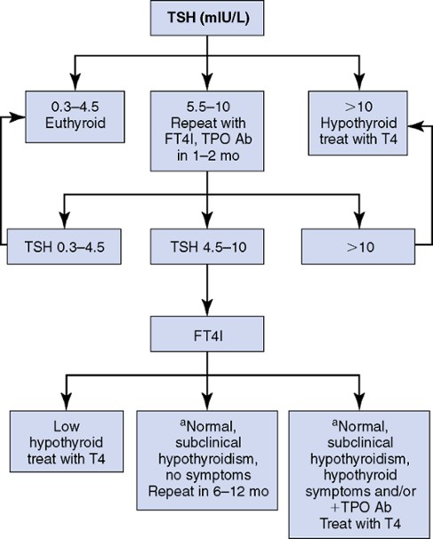 b031d54367974925a6bef6849faba444