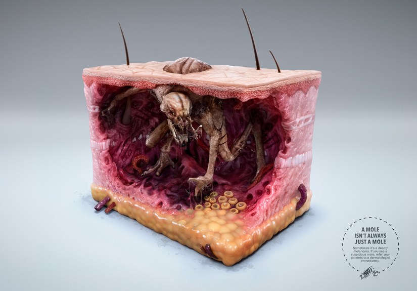 b876ae37076279.5950e3243ef3c