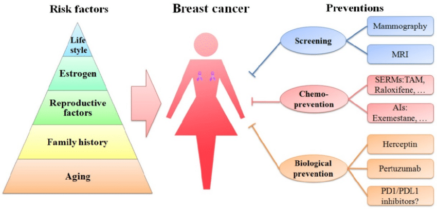 Schematic-diagram-of-risk-factors-and-preventions-of-breast-cancer-Age-family-history