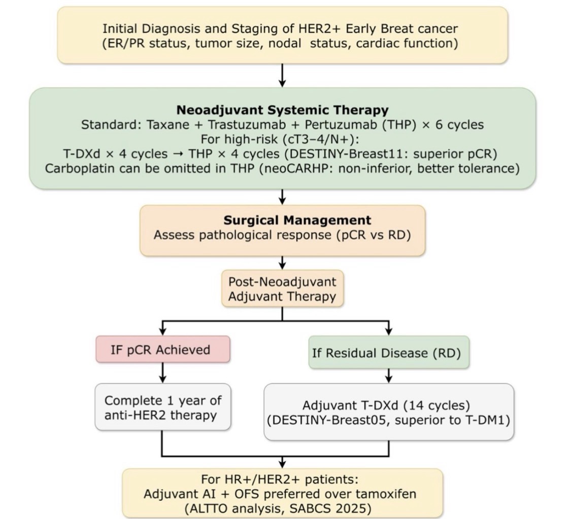 A Paradigm Shift in Early HER2+ Breast Cancer: The Rise of Trastuzumab ...